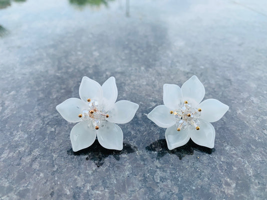 Korean Earrings